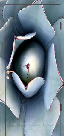 Дверь с фотопечатью №3